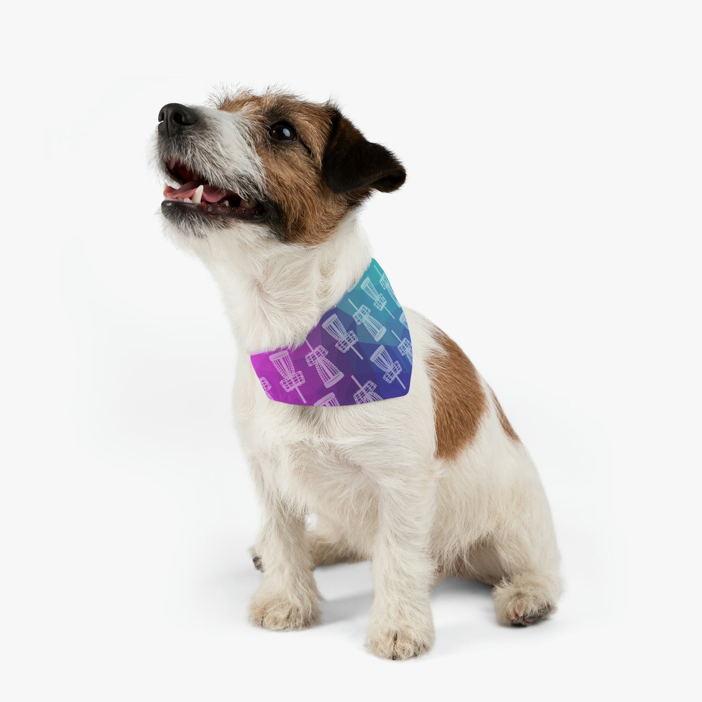 Disc Golf Dog Collar Bandana